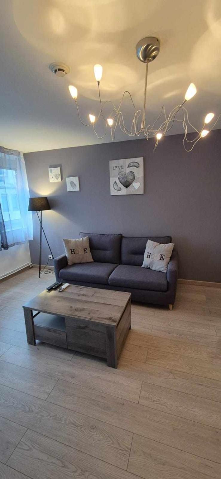 Nouveau !! Appartement Confortable Totalement Renove Avec Parking Gratuit - Hypercentre De Nancy Bagian luar foto